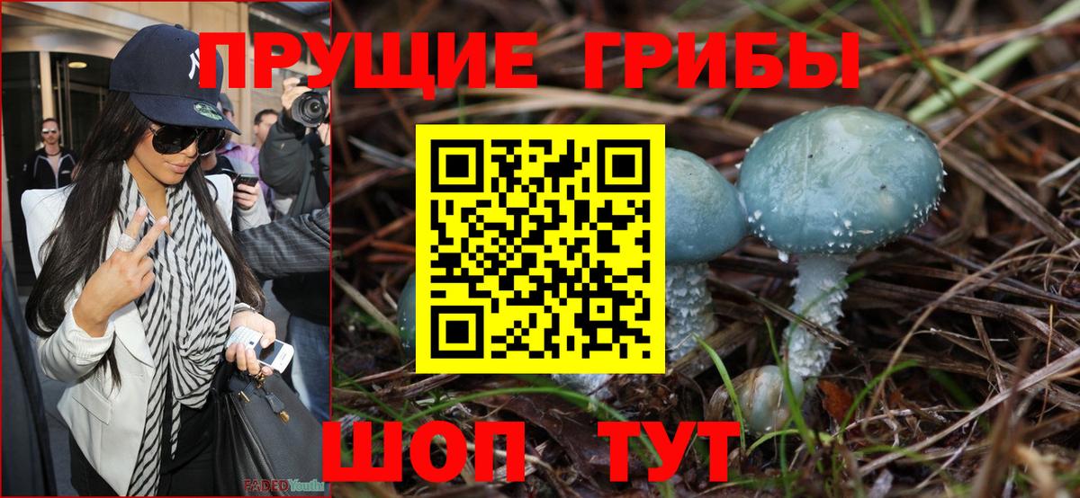 Урюпинск  Псилоцибиновые грибы GOLDEN TEACHER  Вход с VPN 